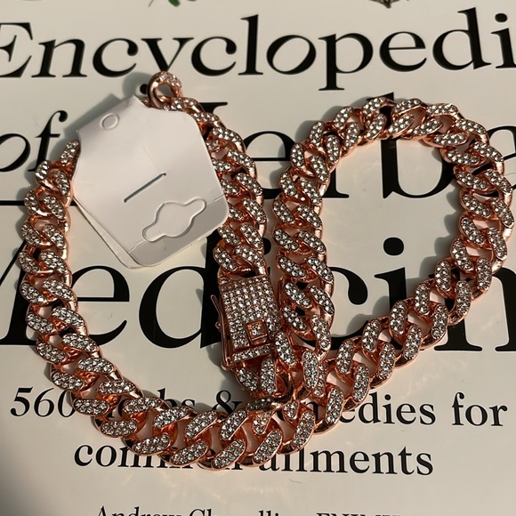 Bling 💎 Collar - Picture 2 of 6